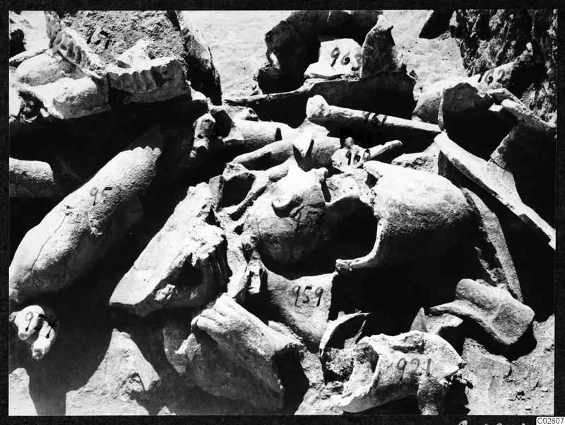 Carved stone sculpture fragments lying in situ at Mersinaki, many marked with number labels