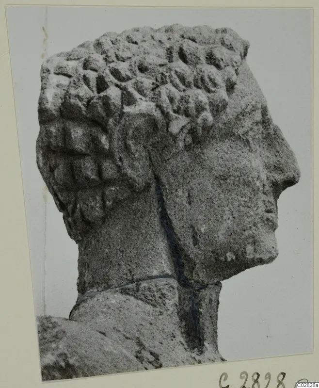 Limestone head of a statue in right profile, with rows of rounded curls over the crown, photographed on a card mount