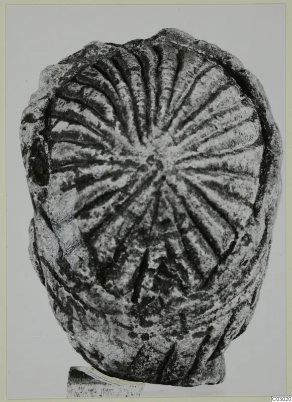 Limestone sculpture fragment from Vouni with radiating grooves across its rounded face