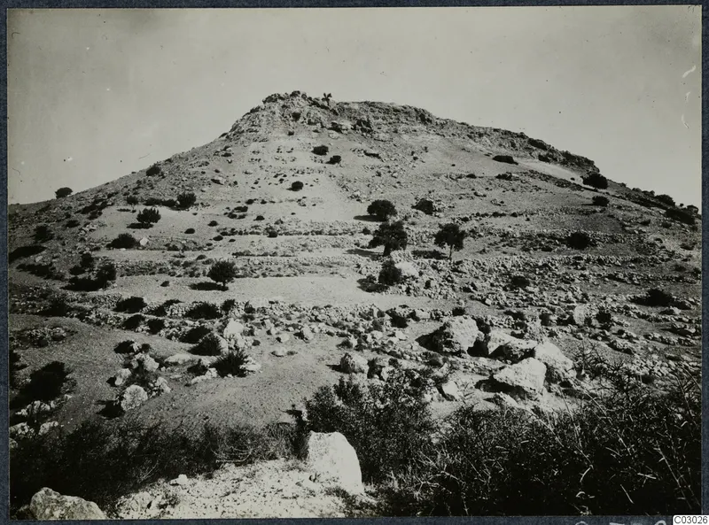 Rocky hill at Vouni with stone-lined terraces, scattered bushes and trees on the slopes