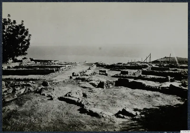 Low stone wall foundations of excavated rooms at Vouni, with a tree at left and the sea on the horizon