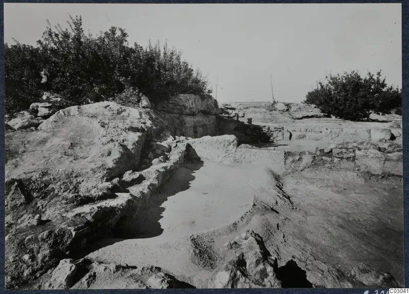 Excavated rock and stone walls at Vouni palace, with bushes along the ridge and posts behind.