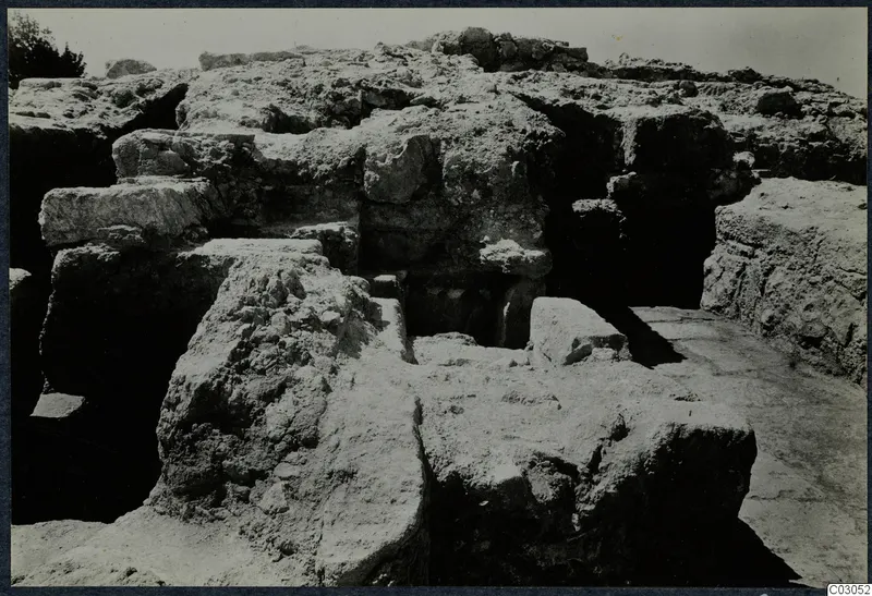 Excavated stone walls and rubble at the palace at Vouni, with a tree at the upper left.