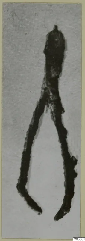 Corroded iron object with two long curved arms joining at a rounded top, shown against a pale background