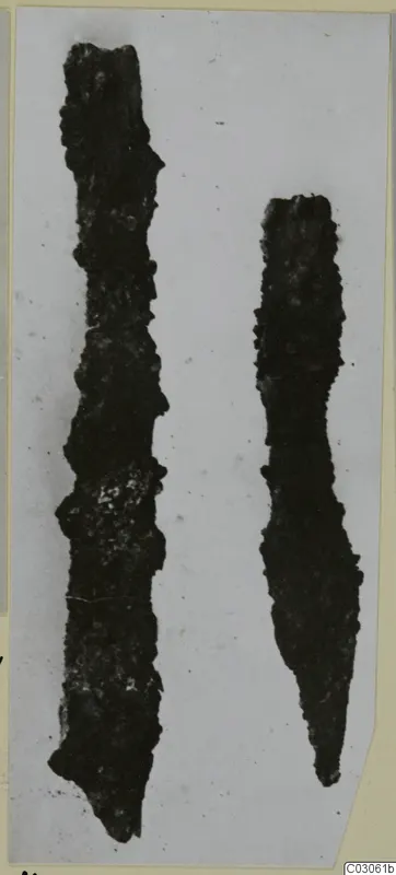 Two corroded iron tools lying side by side, one tapering to a point, on a pale background