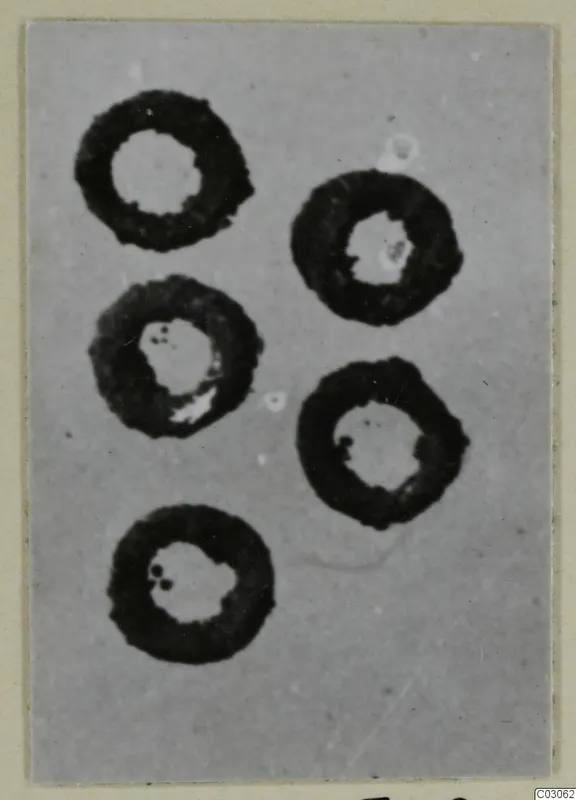 Five silver hair-rings from tomb 22 at Marion, shown as dark rings on a grey ground