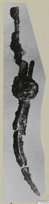 Corroded iron tools, including a scoop, shown as a long dark metal object on a pale grey background