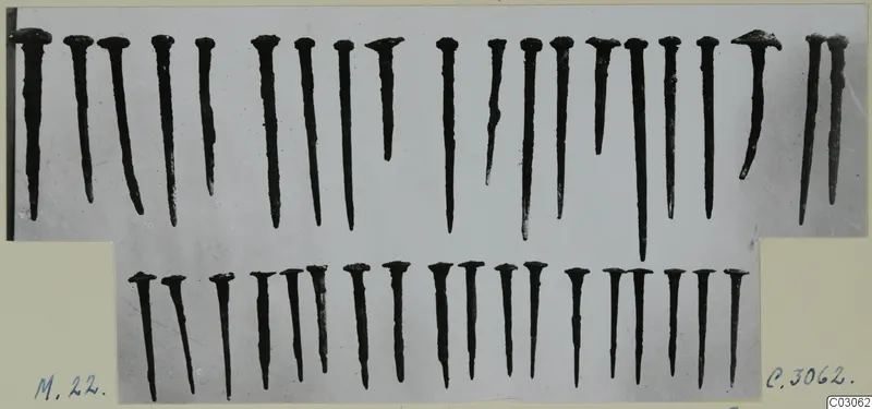 Nails from find group M.22 at Marion, laid out in two rows on a mounted photograph