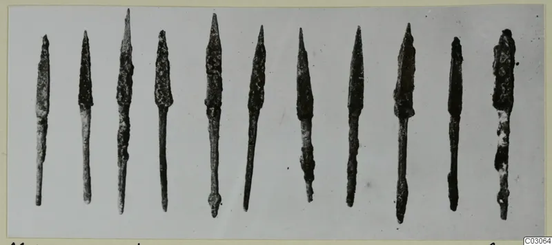 Twelve corroded bronze arrowheads laid side by side in a row, from M. 43 at Marion