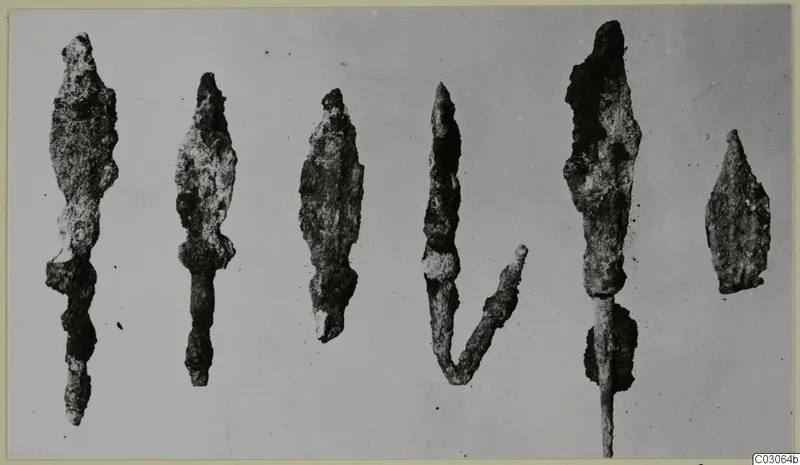 Row of corroded iron arrowheads with long tangs, photographed against a plain grey background.