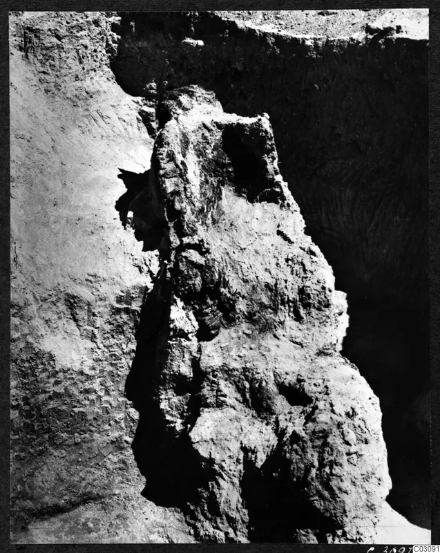 Charred tree trunk standing in an excavated section at Mersinaki