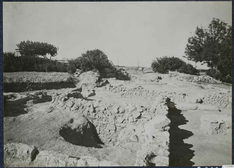 Excavated stone walls at the palace at Vouni, with trees and bushes behind them