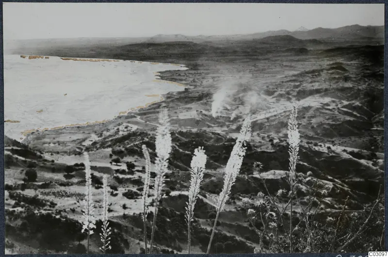 Landscape view over hills and a pale shoreline at Vouni Palace, with tall flowering stalks in the foreground.