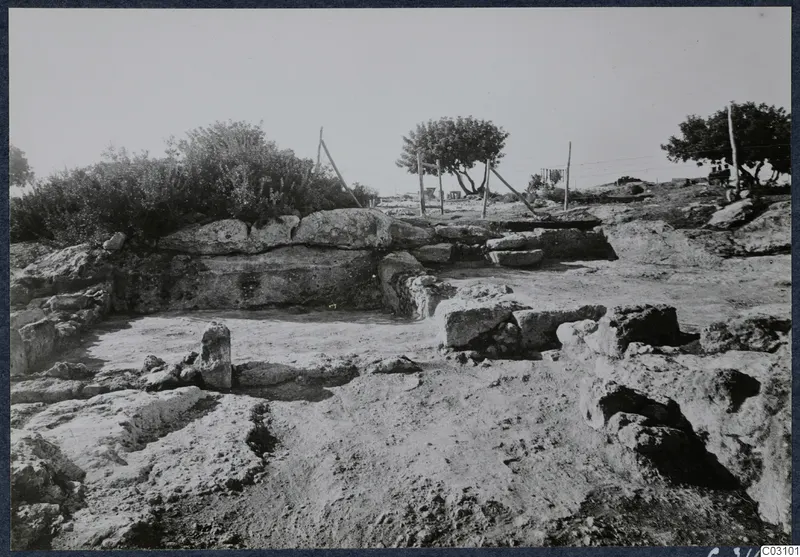 Excavated stone walls and foundations at Vouni palace, with wooden posts and trees behind.