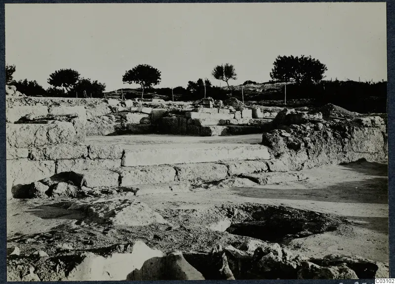 Excavated stone ruins at Vouni Palace with a stepped stone block and trees on the skyline