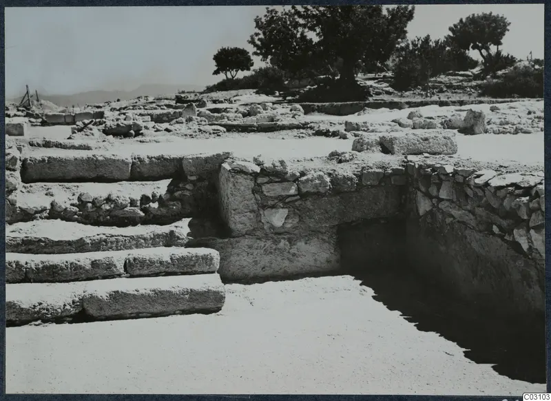 Stone steps and wall foundations among ruins at Vouni Palace, with trees and hills behind