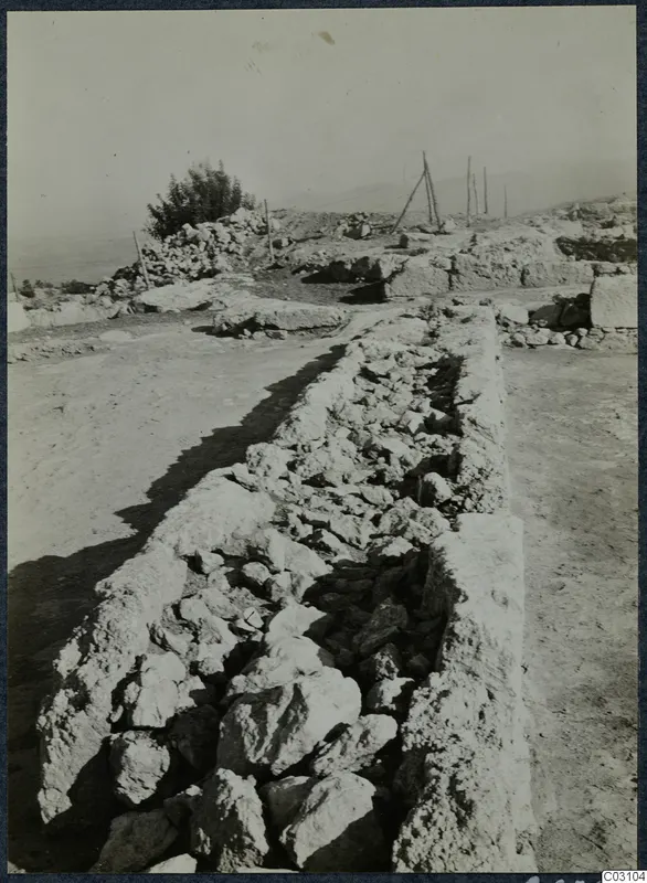 Long stone wall with a rubble core, a small tree and wooden posts at the palace at Vouni