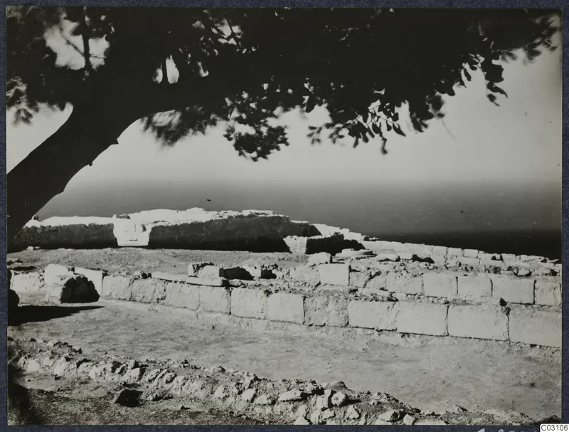 Ruined stone walls of Vouni Palace seen beneath a tree, with the sea on the horizon