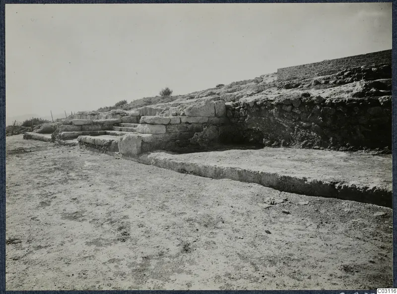 Stone steps and a wall of large blocks at Vouni Palace, with a shrub on the slope behind.