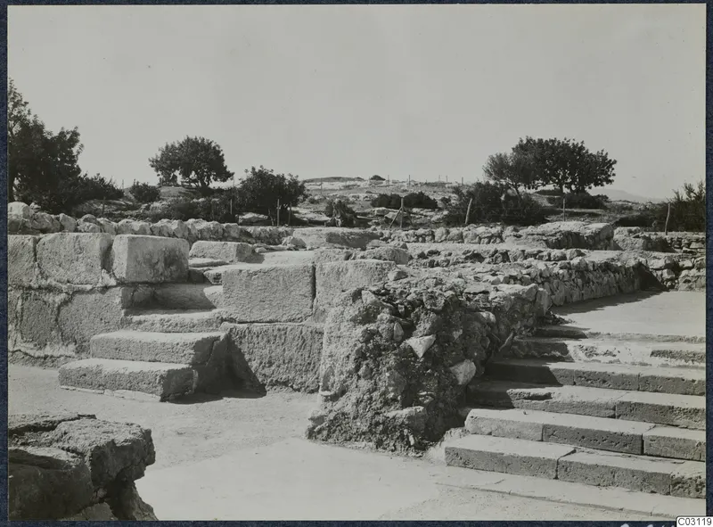Stone steps and walls of the palace ruins at Vouni, with trees and a fence behind.