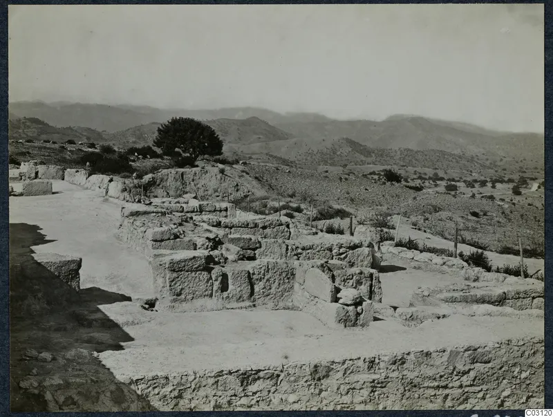 Ruined stone walls at Vouni palace, with a large tree and hills beyond