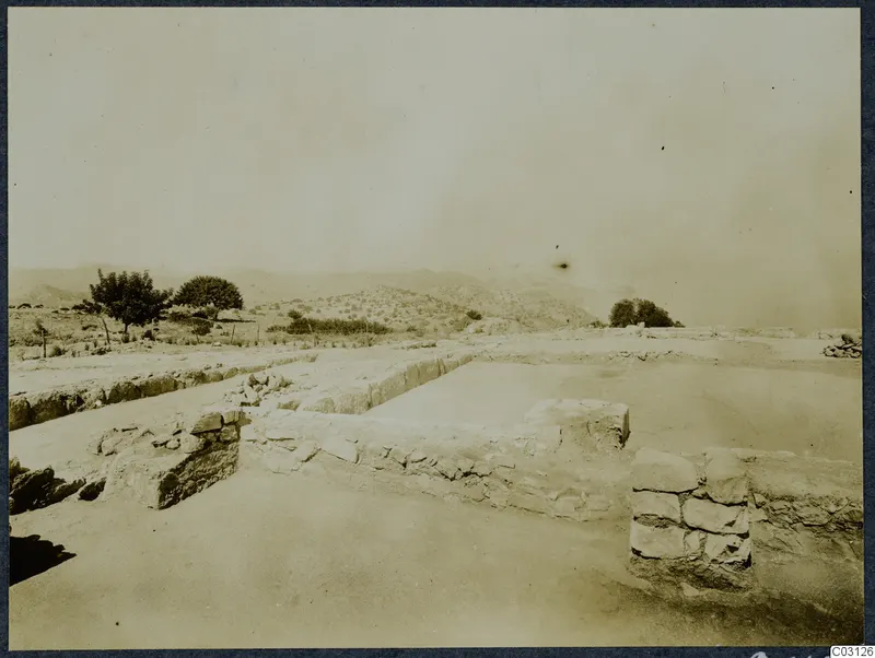 Excavated stone walls and a flat pale surface at Vouni Palace, with trees and hills beyond