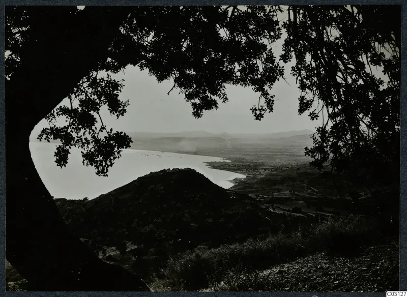 View through overhanging tree branches over a bay, a flat coastal plain and distant hills