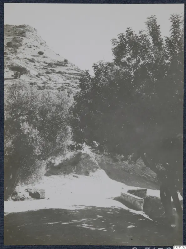 Topography at the Vouni palace site: a rocky hillside, trees and a low stone wall beside a track
