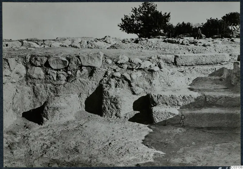 Excavated stone walls, a flight of steps and a tree at Vouni Palace