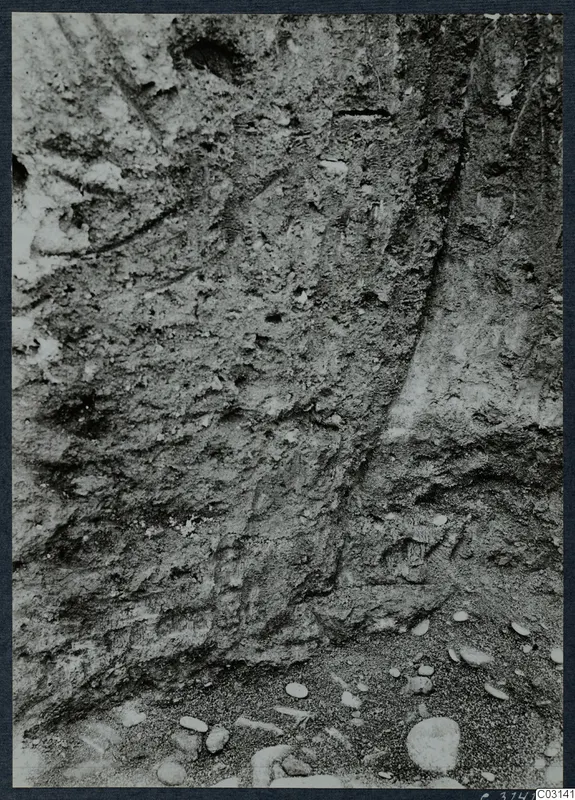 Soil section in pit J 20 at Mersinaki, showing layered earth, a curved darker cut line and pebbles at the base