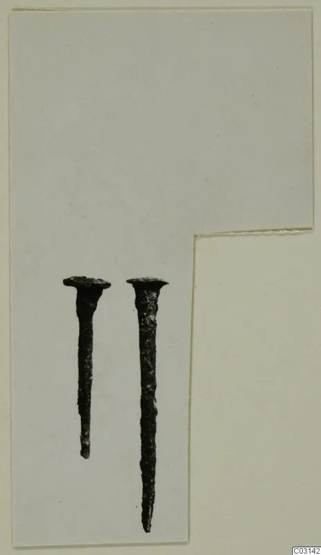 Two corroded metal nails with flat round heads, laid side by side on a pale card.