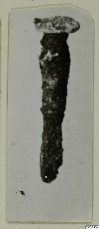 Nail from Marion, a corroded metal nail with a flat head, shown upright on a pale card.