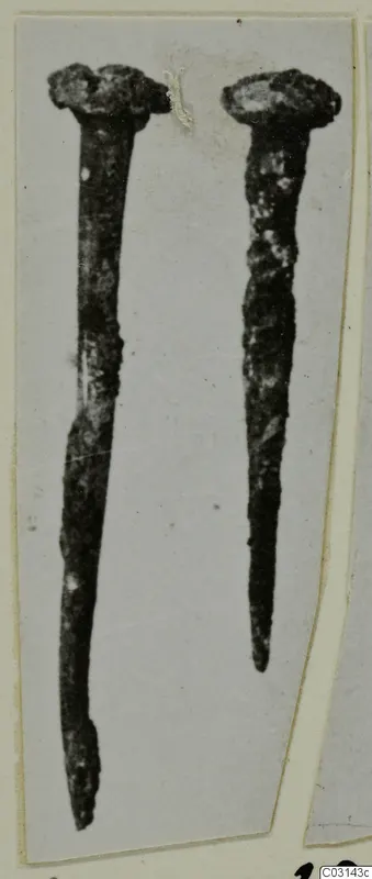 Two corroded iron nails with flat heads, photographed on a pale card mount, from Marion.