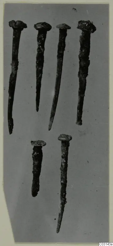 Several corroded metal nails or pins with flat heads, laid out on a grey background