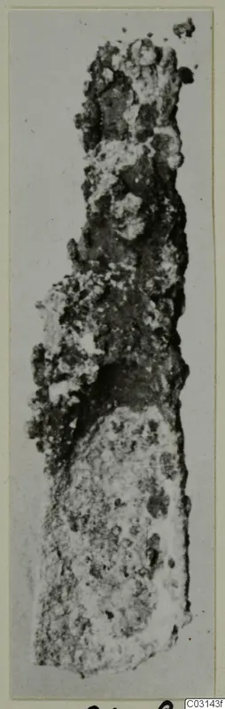 Corroded metal tool from Marion, shown upright.