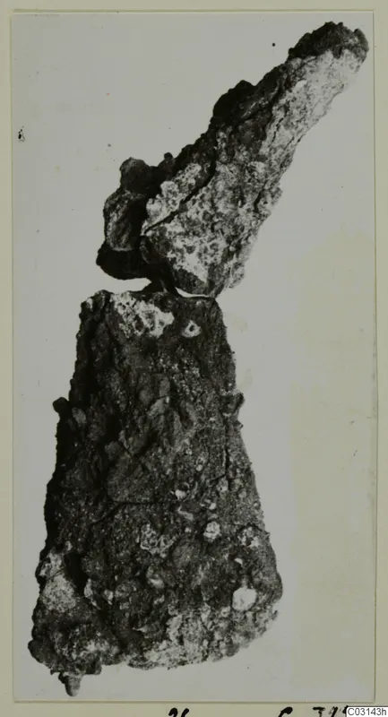 Heavily corroded metal object from Marion Tomb 37, shown on a photo mount