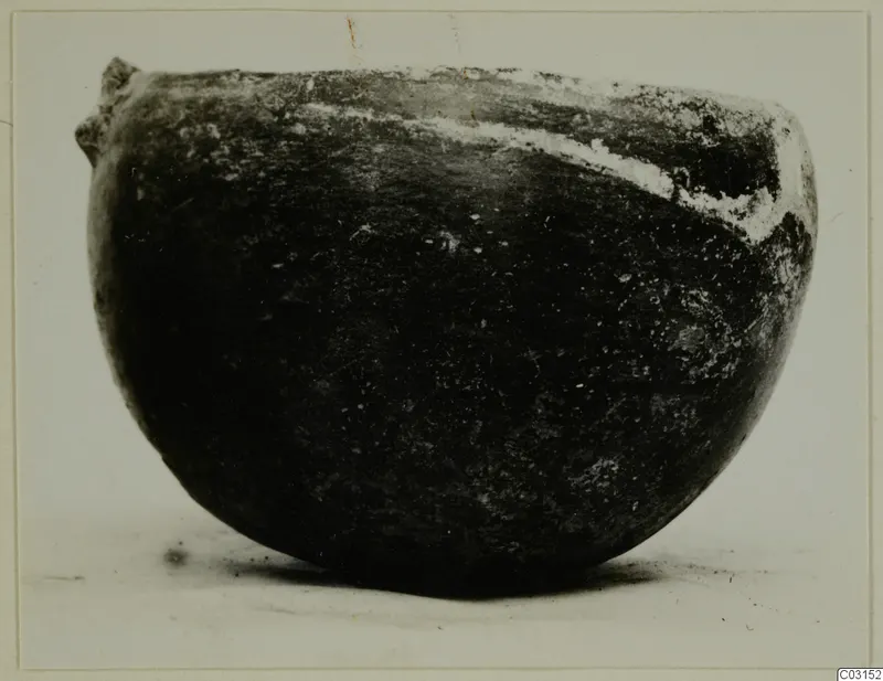Rounded bowl with a small lug on the rim, photographed from the side, from the Lapithos Vrysi tou Barba tombs