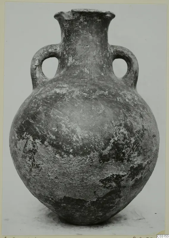 Round-bodied pottery vessel with two loop handles and a flared rim, photographed against a plain background
