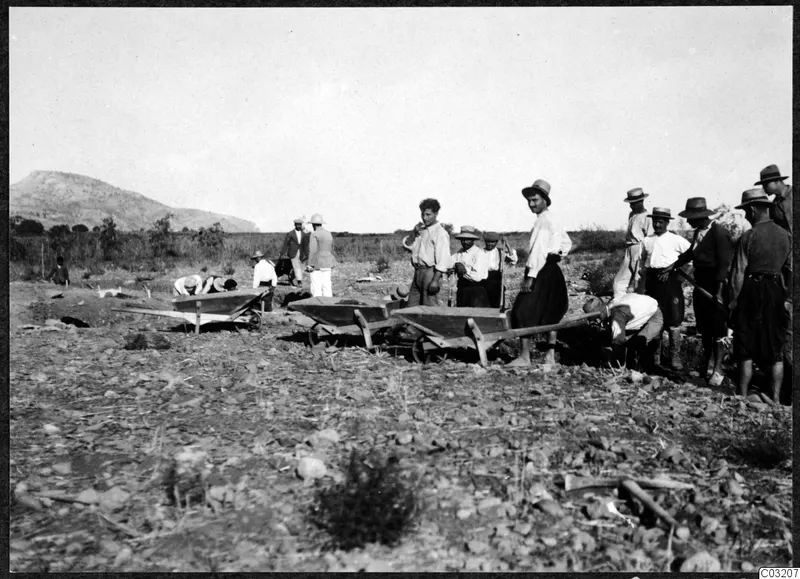 Workers with wheelbarrows at a dug field at Soli, with a hill behind the scrub