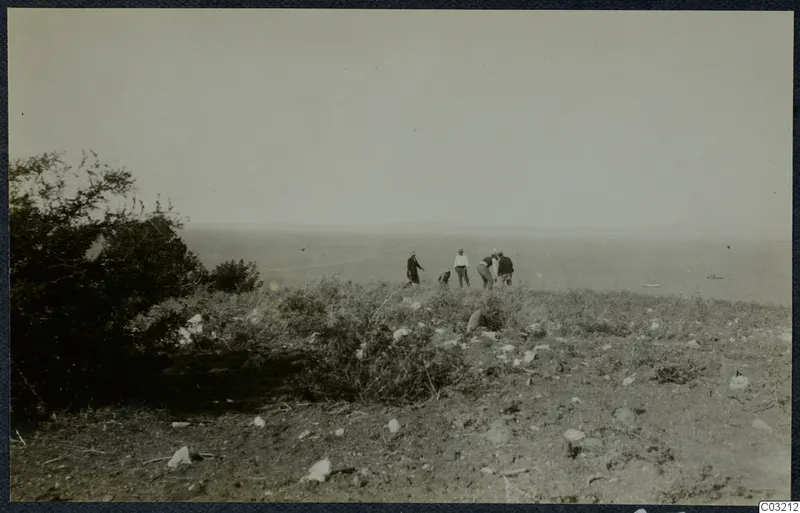 Topography at Soli: several people on a scrubby, stony hillside overlooking the sea, with a bush at the left edge.