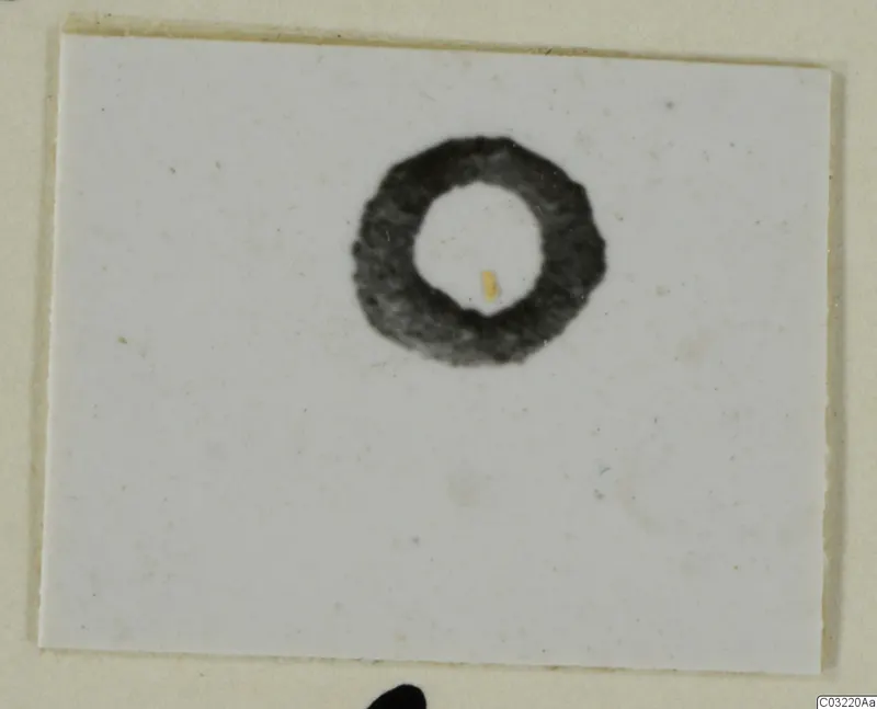 Ring from Marion, a dark circular band on a white card.