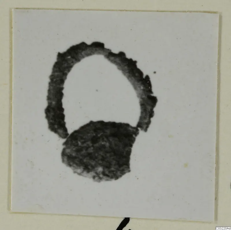 Ring from Marion, shown in a small photograph mounted on a cream card