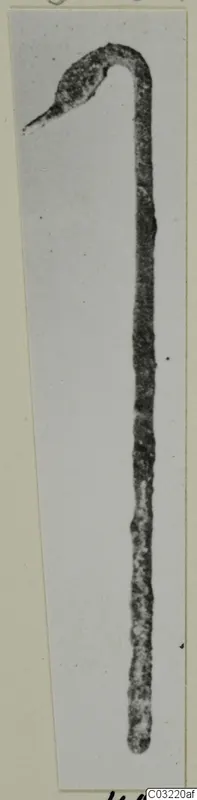 Tool from Marion: a long, slender dark rod with a sharply hooked end, shown as a narrow photograph on a card mount.