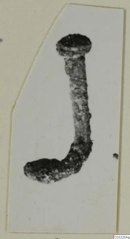 Bent metal object from Marion, shown curved, with a flat head at one end and a hooked bend at the other