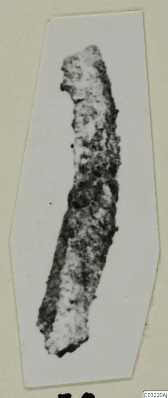 Corroded elongated object from Marion, a fragment with broken ends, photographed on a card mount.