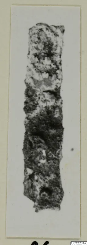 Long, narrow corroded fragment of an object from Marion, shown upright on a white card mount