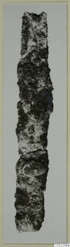 Corroded metal object from Marion, a long narrow fragment shown upright against a pale background