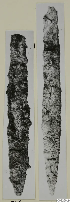 Two corroded metal blades, narrow and tapering, photographed side by side on pale mounts.