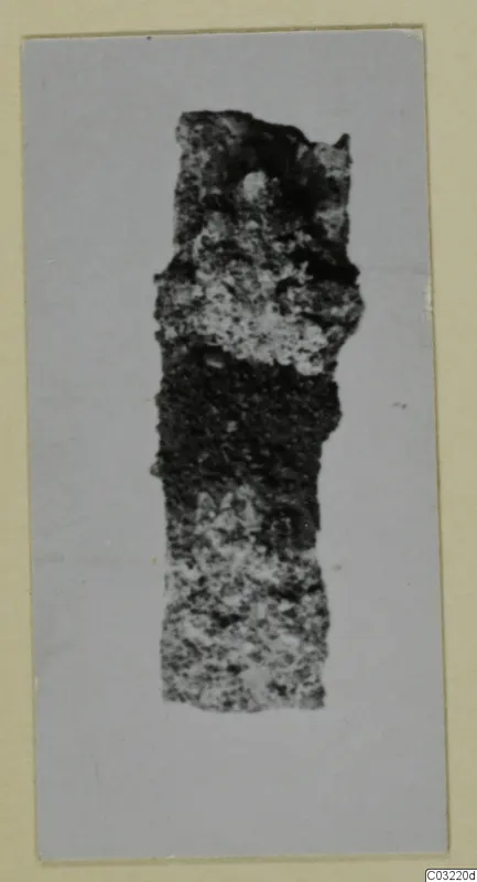 Corroded iron tool fragment from Marion, shown in a photograph