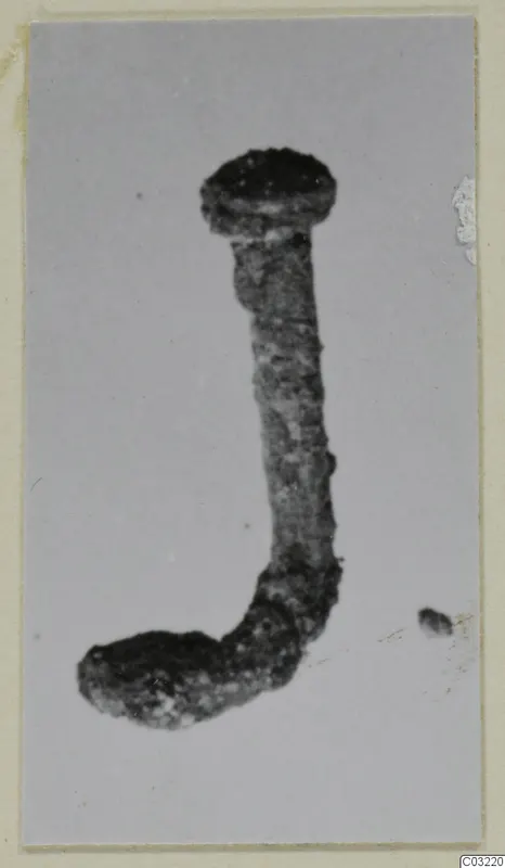 Corroded bronze pin with a flat head and a bent, hooked end, shown against a grey background.